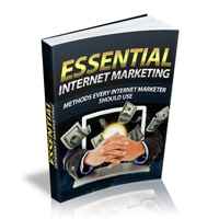 Essential Internet Marketing 1