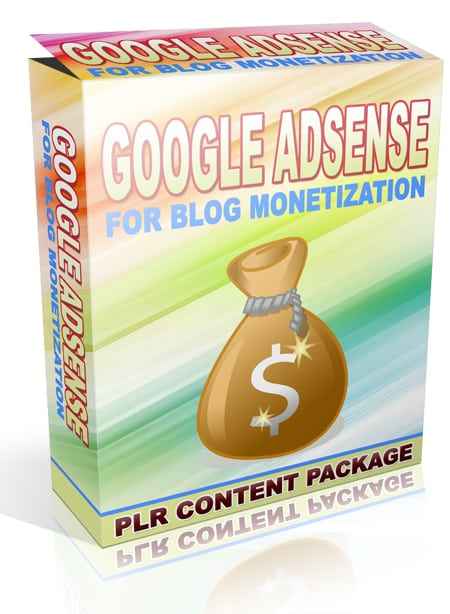Google Adsense for Blog Monetization Articles,Google Adsense for Blog Monetization plr