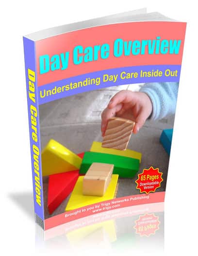 Day Care Overview eBook,Day Care Overview plr