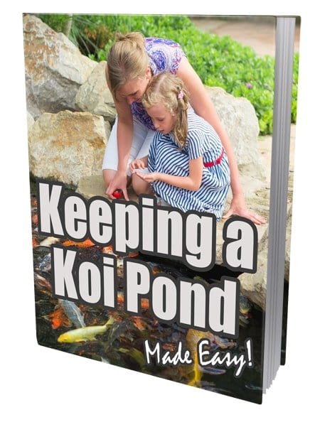 Keeping a Koi Pond eBook,Keeping a Koi Pond plr