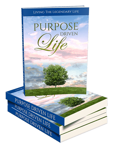 Purpose Driven Life eBook,Purpose Driven Life plr