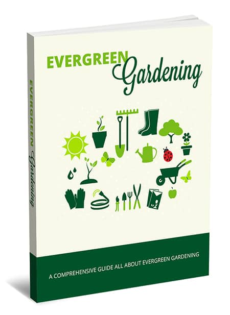 Evergreen Gardening eBook,Evergreen Gardening plr