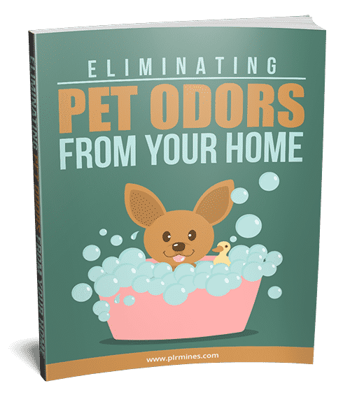 Eliminating Pet Odors