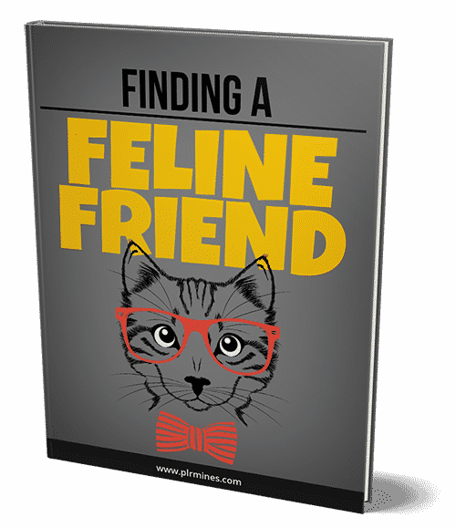 Finding A Feline Friend