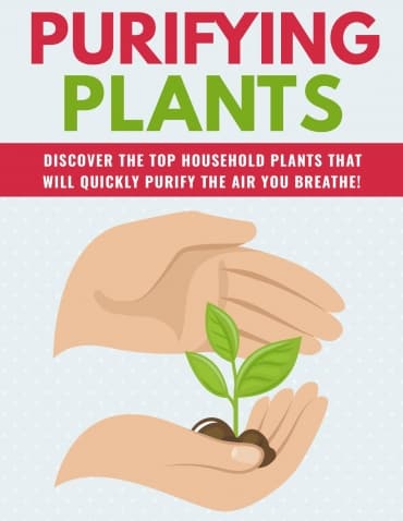 Purifying Plants