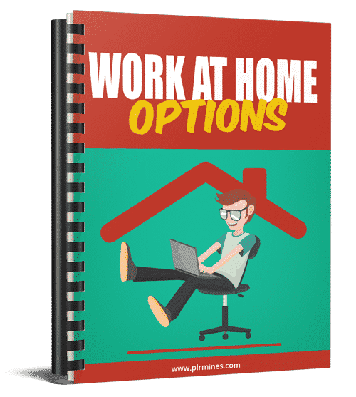 work at home options