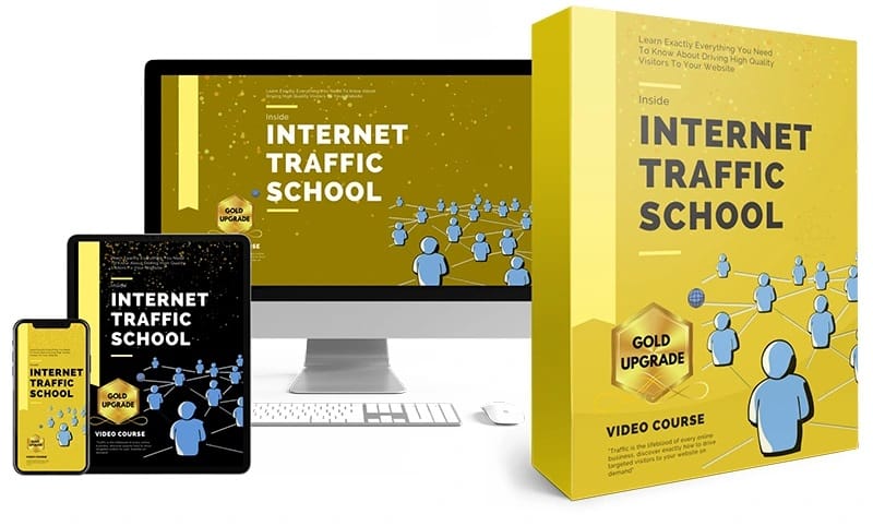 internet traffic school video
