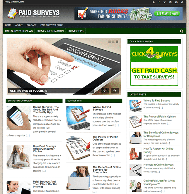paid surveys online plr blog