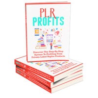 PLR Profits book stack on private label rights products.