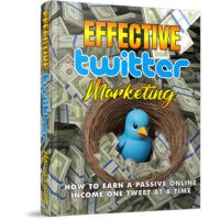 Book cover for "Effective Twitter Marketing" with money and bird.