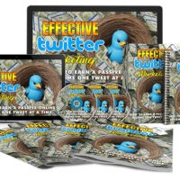 Digital guidebooks on effective Twitter marketing strategies.