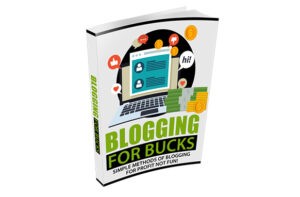 Ebook cover for 'Blogging for Bucks' with icons and laptop.