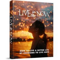 Book cover for 'Live in the Now' with silhouetted woman.