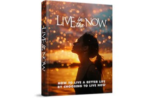Book cover for 'Live in the Now' with silhouetted woman.