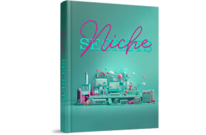 Book cover titled 'Niche' with stylized, colorful objects