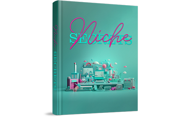 Book cover titled 'Niche' with stylized, colorful objects