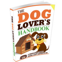 The Dog Lovers Handbook,the dog lovers guide to dating,the dog lovers guide to love,dog lovers vs non dog lovers