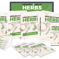 healing power of herbs