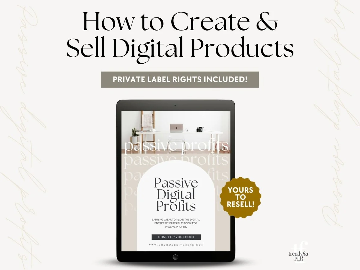 What is a PLR Digital Product