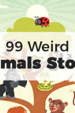 99 Weird Animals Stories