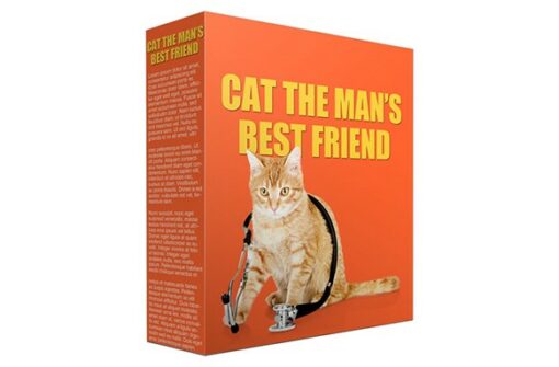 Cat Mans Best Friend PLR Articles