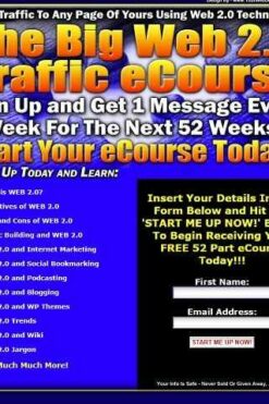 The Big Web 2.0 Traffic eCourse