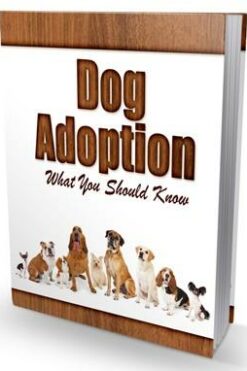 Dog Adoption What You Should Know