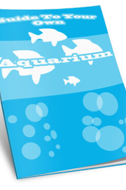Guide To Your Own Aquarium