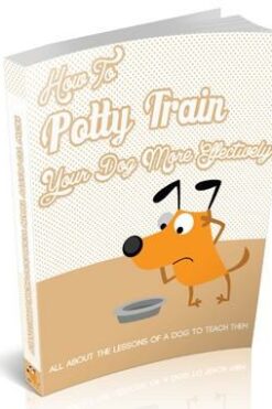 How To Potty Train Your Dog More Effectively