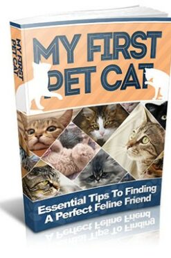 My First Pet Cat