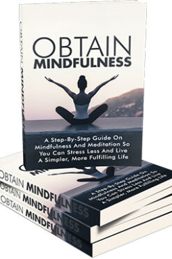 Obtain Mindfulness