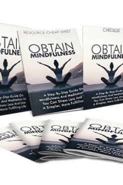 Obtain Mindfulness Upgrade Package