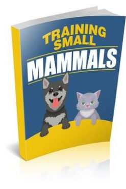 Training Small Mammals