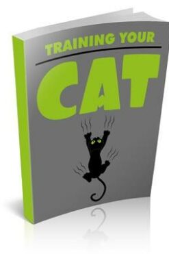 Training Your Cat