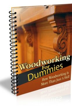 Woodworking For Dummies