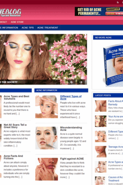 Acne PLR Blog