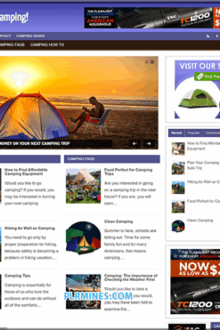 Camping Tips PLR Website