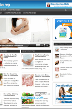Constipation Help Niche PLR Blog
