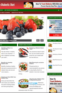 Diabetic Diet Niche PLR Website