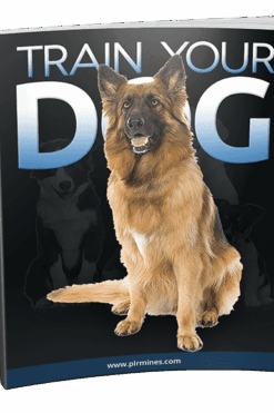 Dog Training Tips