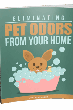 Eliminating Pet Odors