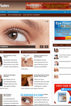Eye Floaters WP Blog