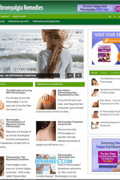 Fibromyalgia Remedy PLR Blog