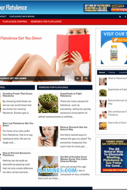 Flatulence Control PLR Website