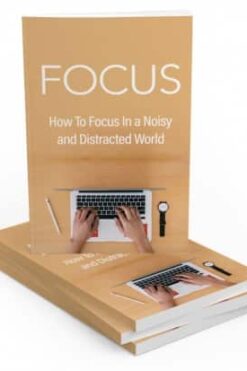 Focus PLR eBook