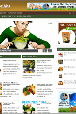 Gluten Free Recipes Premade Blog
