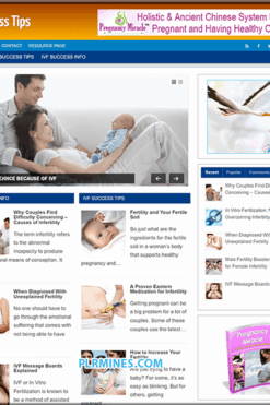 IVF Success Tips Niche PLR Blog