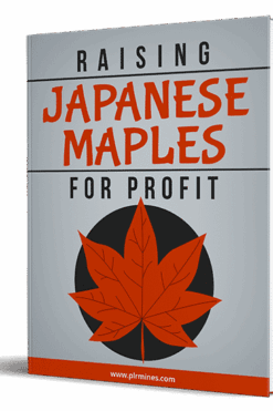Japanese Maples for Profit