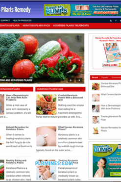 Keratosis Pilaris PLR WordPress Blog