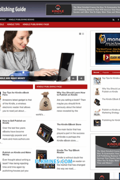 Kindle Publishing Niche PLR Blog